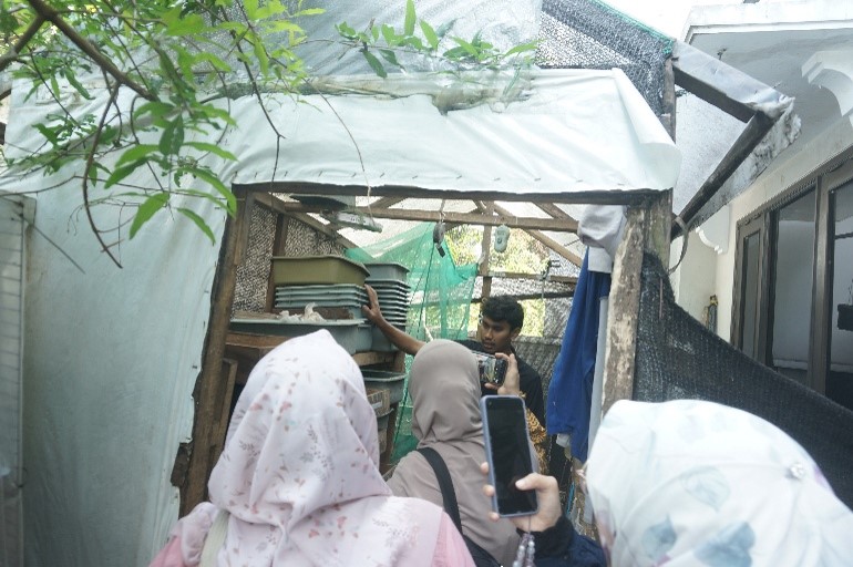 Budidaya Maggot Berbasis Komunitas Berpotensi Jadi Sumber Pendapatan Berkelanjutan bagi Rumah Tangga Indonesia